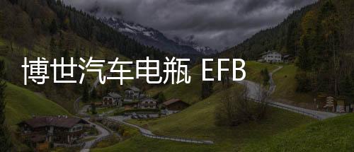 博世汽车电瓶 EFB LN2适配思域CRV雅阁XRV缤智宝来朗逸启停蓄电池