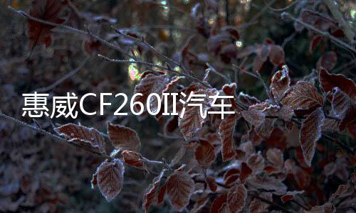 惠威CF260II汽车音响6.5寸主机直推车载同轴喇叭高低音头无损改装
