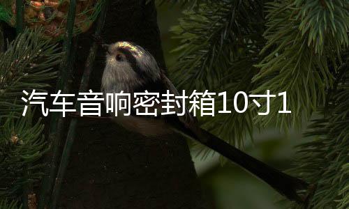 汽车音响密封箱10寸12寸无源低音炮音箱空箱梯形低音炮木箱雪花绒
