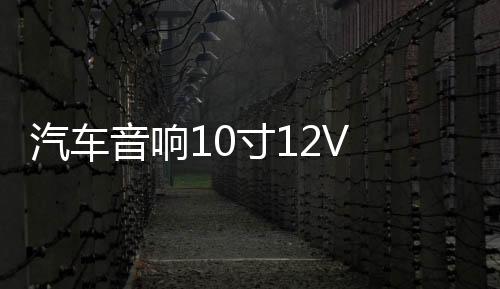 汽车音响10寸12V 有源低音炮车载低音炮汽车超薄低音炮重低音喇叭