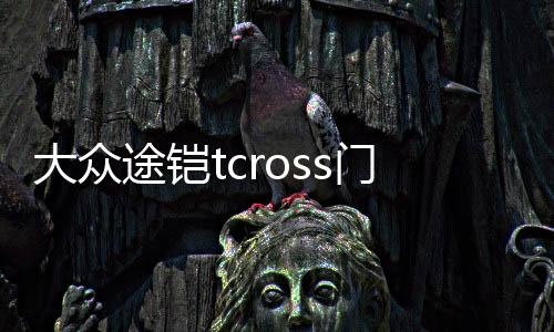 大众途铠tcross门槽垫途凯装饰汽车用品车内改装内饰配件恺水杯垫