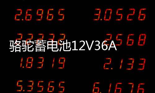 骆驼蓄电池12V36AH汽车电瓶逆变背机适配铃木奥拓飞度锋范三轮车