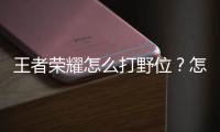 王者荣耀怎么打野位？怎么应对反野套路？