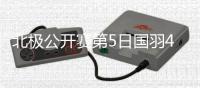 北极公开赛第5日国羽4胜3负 提前包揽混双冠亚军