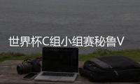 世界杯C组小组赛秘鲁VS丹麦直播地址 央视直播地址