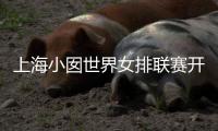 上海小囡世界女排联赛开挂