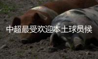 中超最受欢迎本土球员候选名单 吴曦蒿俊闵韦世豪抢票