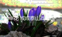 战申花 或成泰山战略选择分水岭 山东深陷两大困境