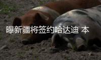 曝新疆将签约哈达迪 本赛季第二次更换大外援