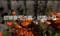 欧锦赛预选赛：德国小组领跑 比利时荷兰大胜对手