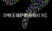 沙特王储萨勒曼报价3亿英镑购买纽卡斯尔联队