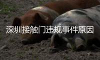 深圳接触门违规事件原因始末 CBA公布最终调查结果