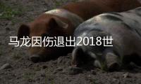 马龙因伤退出2018世界巡回总决赛 中国队放弃男双争夺