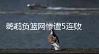 鹈鹕负篮网惨遭5连败 申京27+17火箭轻取奇才