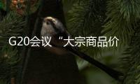 G20会议“大宗商品价格”议还是不议, 银天下为你预判！