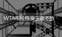 WTA布拉格赛王蔷不敌东道主 科娃携斯托瑟跻身八强