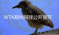 WTA郑州网球公开赛开打 总奖金为150万美元