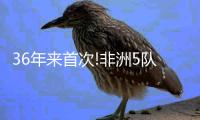 36年来首次!非洲5队世界杯小组赛全军覆没