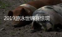 2019游泳世锦赛惊现史上最大分差 匈牙利64比0韩国